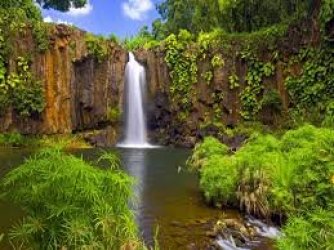 iria passear na natureza